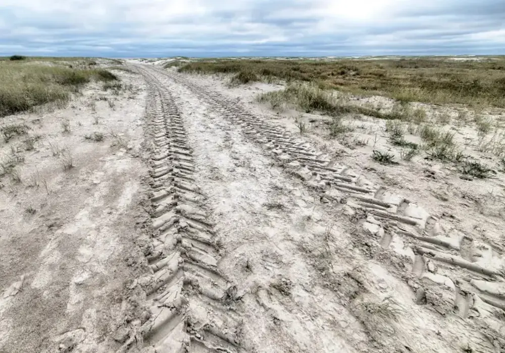 Qué es la tracción de un auto y los distintos tipos de de tracciones de vehículos